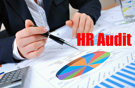 Human Resources Auditing Service